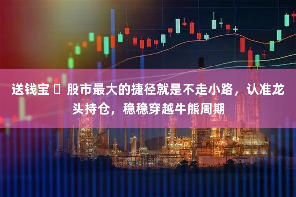 送钱宝 ️股市最大的捷径就是不走小路，认准龙头持仓，稳稳穿越牛熊周期